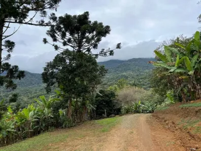 Fazenda/Sítio com 2 Quartos à venda, 36600m² no Rio Sagrado, Morretes