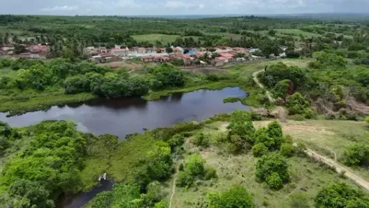 Fazenda/Sítio com 3 Quartos à venda, 150000m² no , Pedro Velho