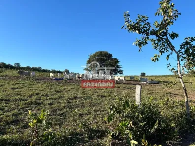 Fazenda/Sítio à venda, 500m² no , Serranópolis