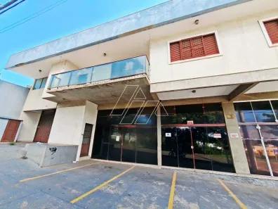 Galpão/Depósito/Armazém para alugar, 700m² no Jardim América, Marília