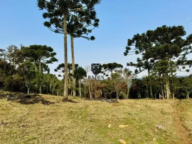Fazenda/Sítio à venda, 24000m² no , Urubici