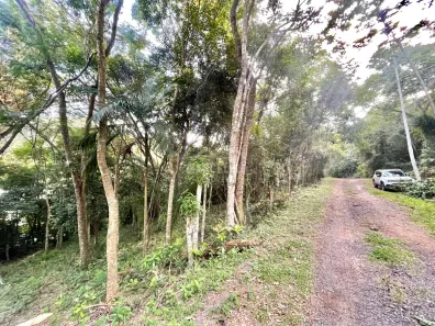 Lote/Terreno à venda, 730m² no Invernada, Grão Pará