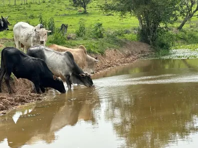 Fazenda/Sítio com 2 Quartos à venda, 80m² no , Porangaba