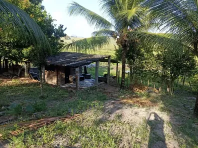 Fazenda/Sítio à venda, 4680m² no Centro, Conde