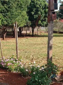 Fazenda/Sítio com 3 Quartos à venda, 350m² no Warta, Londrina