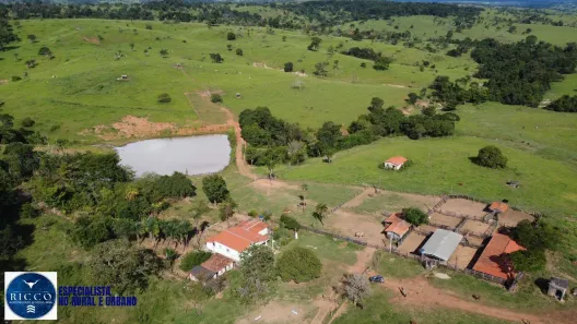 Fazenda/Sítio com 3 Quartos à venda, 93m² no Setor Central, Ivolândia