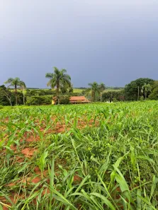 Fazenda/Sítio com 2 Quartos à venda, 1200000m² no , Conceição do Mato Dentro