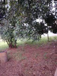 Lote/Terreno à venda, 500m² no Jardim Novo Barão Geraldo, Campinas