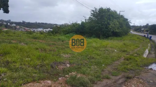 Lote/Terreno à venda, 5000m² no , Chã Grande