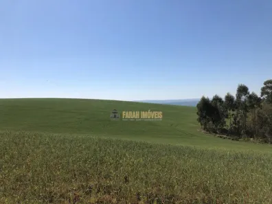 Fazenda/Sítio com 3 Quartos à venda, 1m² no , Tamarana