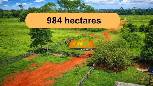 Fazenda/Sítio à venda, 9840000m² no União Bandeirante, Porto Velho