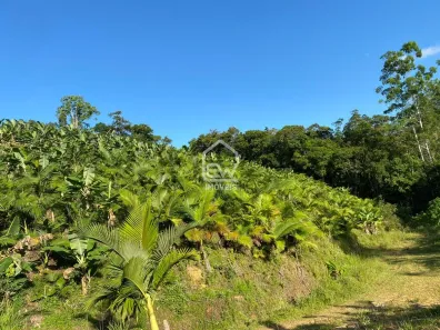 Fazenda/Sítio com 1 Quarto à venda, 101850m² no , Massaranduba