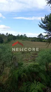 Lote/Terreno à venda, 630000m² no Centro, São Francisco de Paula
