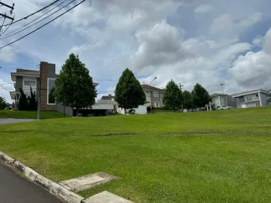 Lote/Terreno à venda, 445m² no Estrela, Ponta Grossa