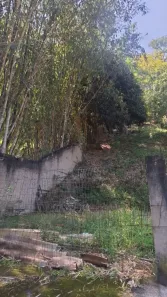 Lote/Terreno à venda, 450m² no Serra Grande, Niterói