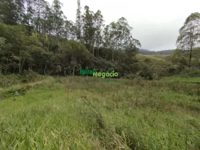 Fazenda/Sítio com 2 Quartos à venda, 72600m² no , Piquete