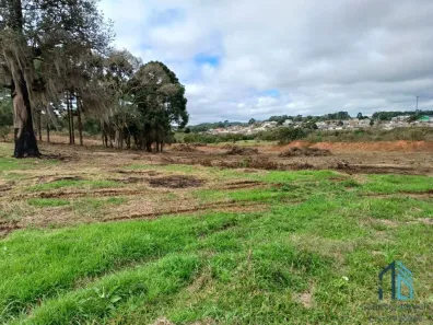 Lote/Terreno à venda, 27998m² no Agua Clara, Mandirituba