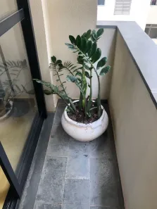Apartamento com 1 Quarto para alugar, 40m² no Parque Imperial, São Paulo
