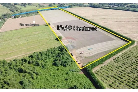 Fazenda/Sítio à venda, 108900m² no Área Rural de Mogi Mirim, Mogi Mirim