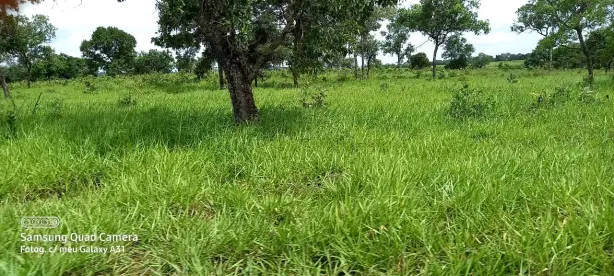 Fazenda/Sítio à venda, 78m² no Centro, Pontal do Araguaia