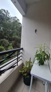 Apartamento com 3 Quartos à venda, 52m² no Jardim Esmeralda, São Paulo