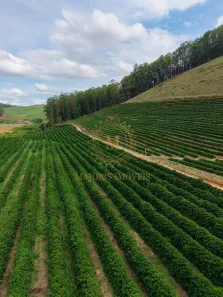 Fazenda/Sítio com 5 Quartos à venda, 431000m² no , Taparuba