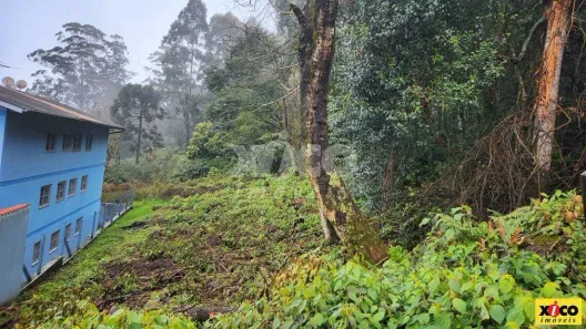 Lote/Terreno à venda, 420m² no Nova Petrópolis, Nova Petrópolis