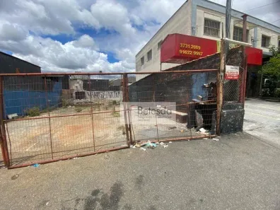 Lote/Terreno para alugar, 250m² no Vila Polopoli, São Paulo