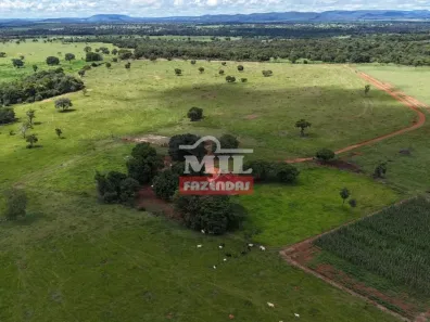 Fazenda/Sítio à venda, 500m² no , Fazenda Nova