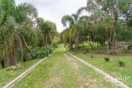 Fazenda/Sítio com 4 Quartos à venda, 250m² no Balsa Nova, Balsa Nova