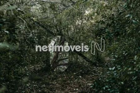Lote/Terreno à venda, 20013m² no Anel, Lagoa Santa