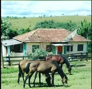 Fazenda/Sítio com 3 Quartos à venda, 100m² no , Bom Jardim de Minas
