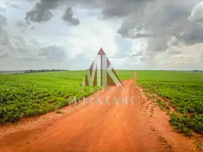 Fazenda/Sítio com 1 Quarto à venda, 400m² no Piquirivaí, Campo Mourão