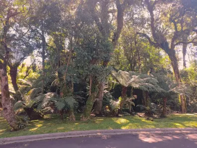 Lote/Terreno à venda, 1175m² no Lagos do Bosque, Gramado