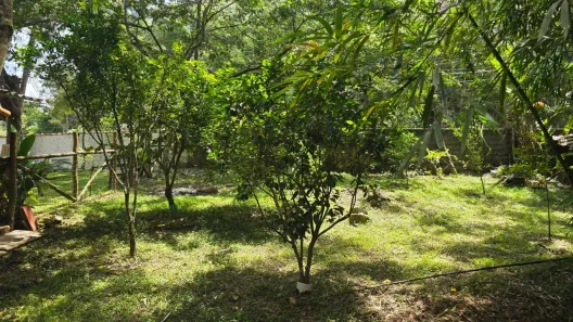 Fazenda/Sítio com 3 Quartos à venda, 250m² no , Monteiro Lobato