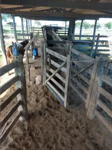 com 3 Quartos à venda, 140m² no , Tesouro