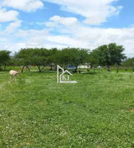 Fazenda/Sítio com 1 Quarto à venda, 3000000m² no , Jandaíra