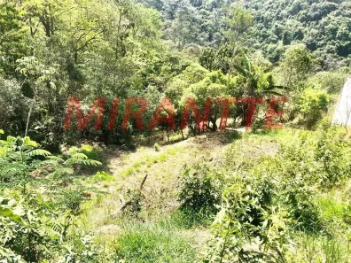 Lote/Terreno à venda, 1443m² no São Vicente, Mairiporã