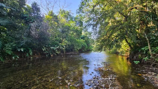 Fazenda/Sítio com 2 Quartos à venda, 167490m² no Centro, Guaraqueçaba