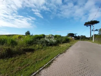 Lote/Terreno à venda, 4000m² no Borghetto, Garibaldi