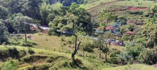 Fazenda/Sítio à venda, 63700m² no Centro, Cambuí