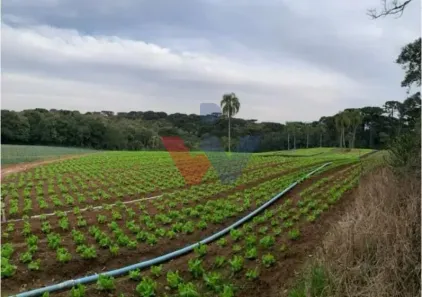 Lote/Terreno à venda, 21000m² no Umbará, Curitiba