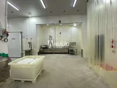Sala Comercial para alugar, 499m² no Murta, Itajaí