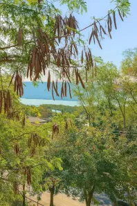 Lote/Terreno à venda, 450m² no Piratininga, Niterói