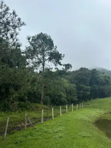 Imóvel Comercial com 5 Quartos à venda, 200000m² no Centro, Osasco