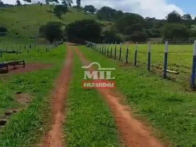 Fazenda/Sítio à venda, 500m² no , Faina