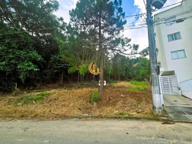 Lote/Terreno à venda, 541m² no Forquilhinha, São José