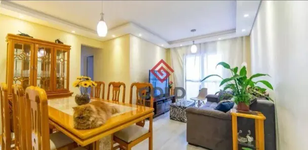 Apartamento com 3 Quartos à venda, 67m² no Vila Camilópolis, Santo André