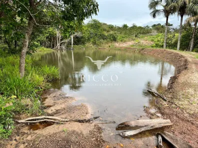 Fazenda/Sítio com 3 Quartos à venda, 15m² no Centro, Paraúna