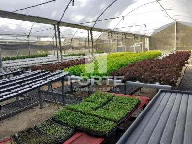 Fazenda/Sítio com 3 Quartos à venda, 190m² no , Mogi das Cruzes